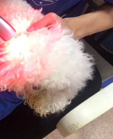 Laser treatment external otitis media Laser treatment external otitis media
