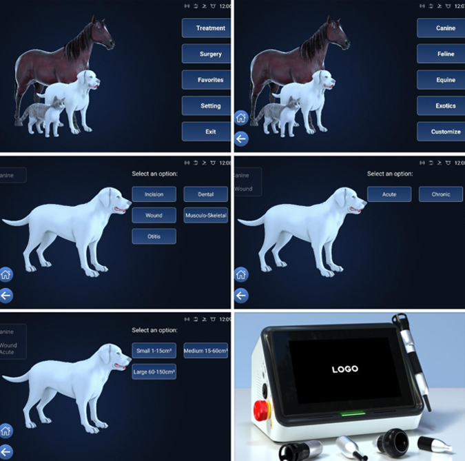 veterinary laser veterinary laser