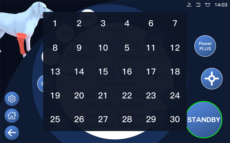 Veterinary laser operation interface