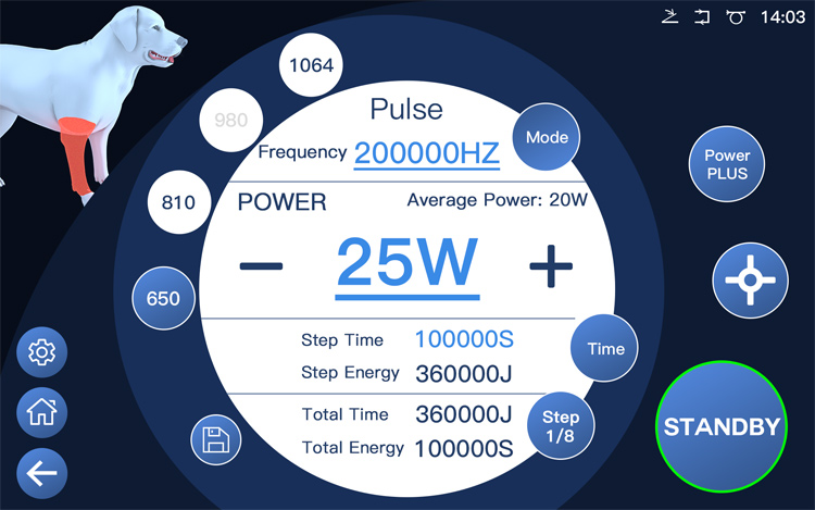 Veterinary laser operation interface